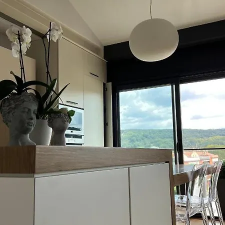 Atico De Diseno Con Terraza En El Centro De Olot